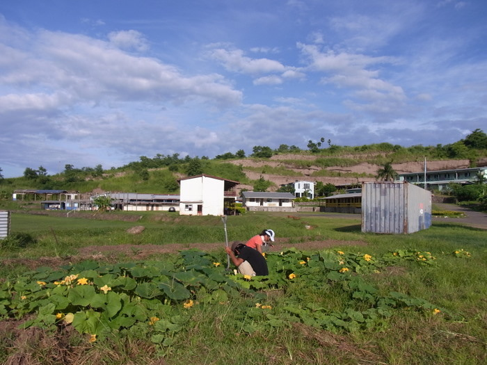 ☆野菜たちの今☆