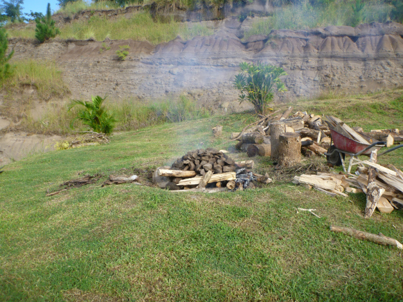 FIJI の 伝統料理 LOVO 作り体験 !!
