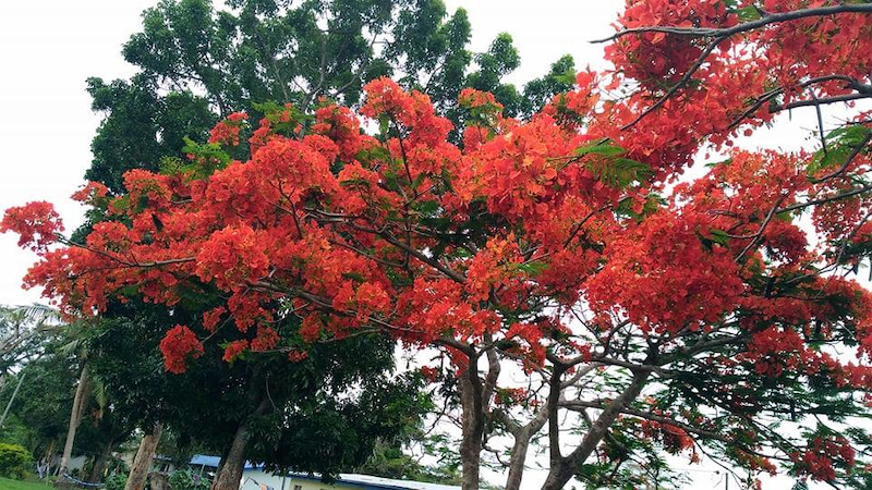 【スタッフより】感謝と愛を込めて
